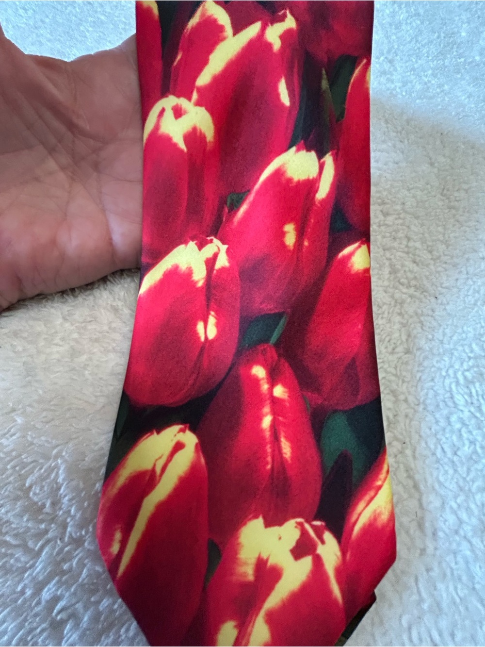 🎁3 for $30 - Tulip Print Necktie